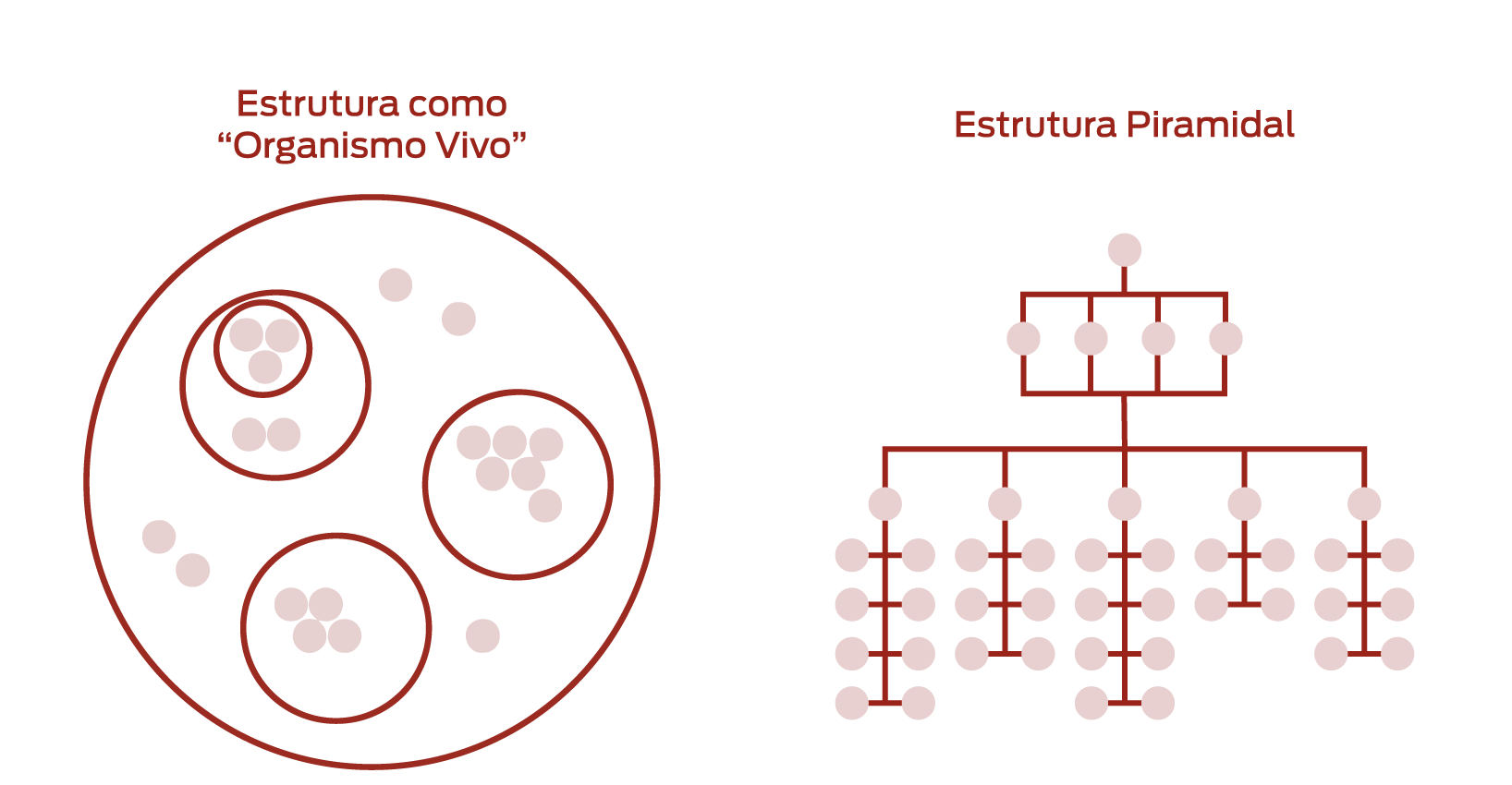 estrutura piramidal vs estrutura ágil organismo vivo